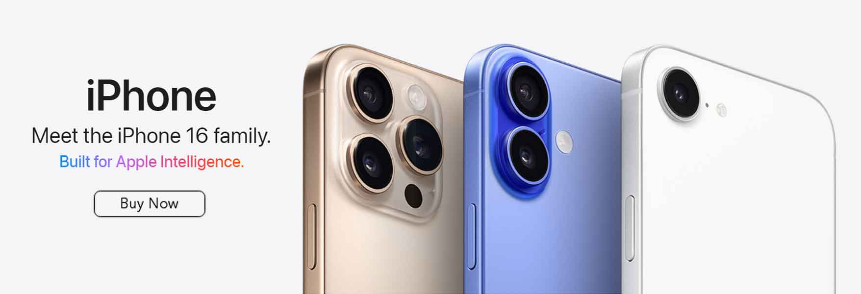 iPhone 16 Family