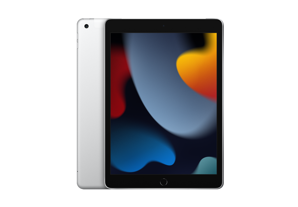 10.2-inch iPad Wi-Fi + Cellular 256GB - Silver