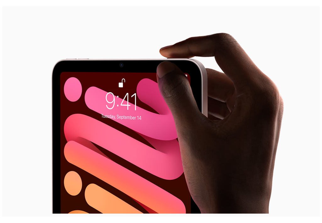 iPad mini Wi-Fi + Cellular 256GB - Pink 2021