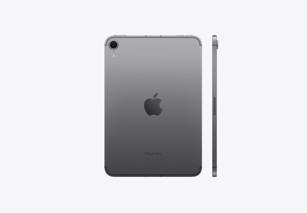 iPad mini Wi-Fi + Cellular 128GB - Space Grey