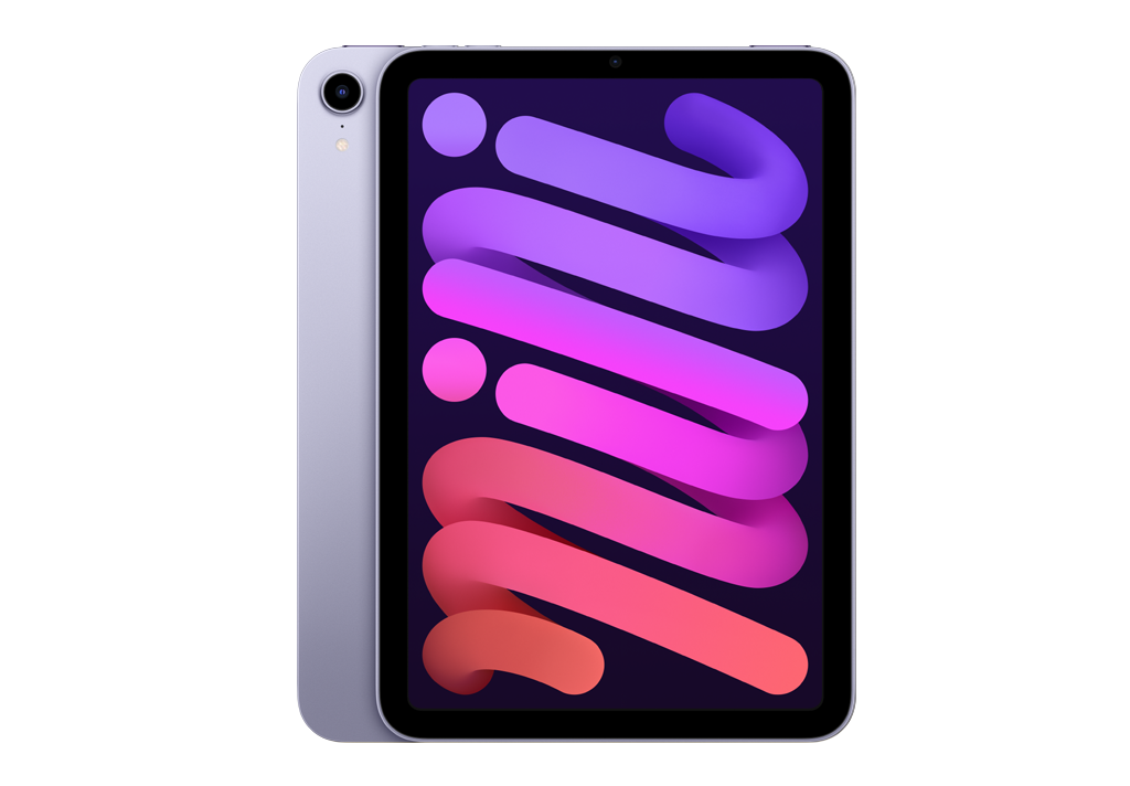 iPad mini Wi-Fi + Cellular 256GB - Purple 2021