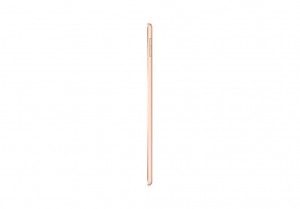 iPad mini Wi-Fi 64GB - Gold