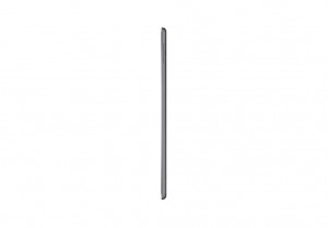 iPad mini Wi-Fi + Cellular 256GB - Space Grey